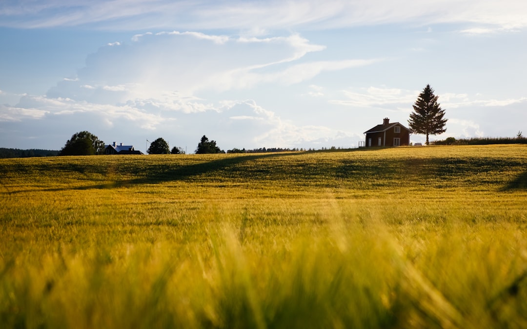 Landscape photography